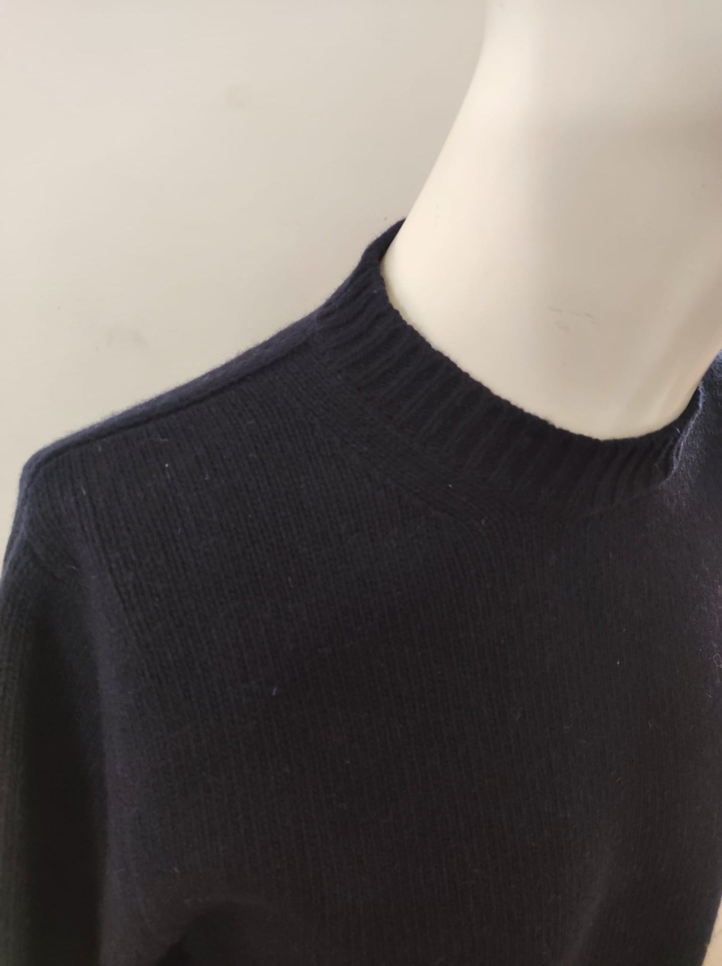 Maglione Mascot Blauer